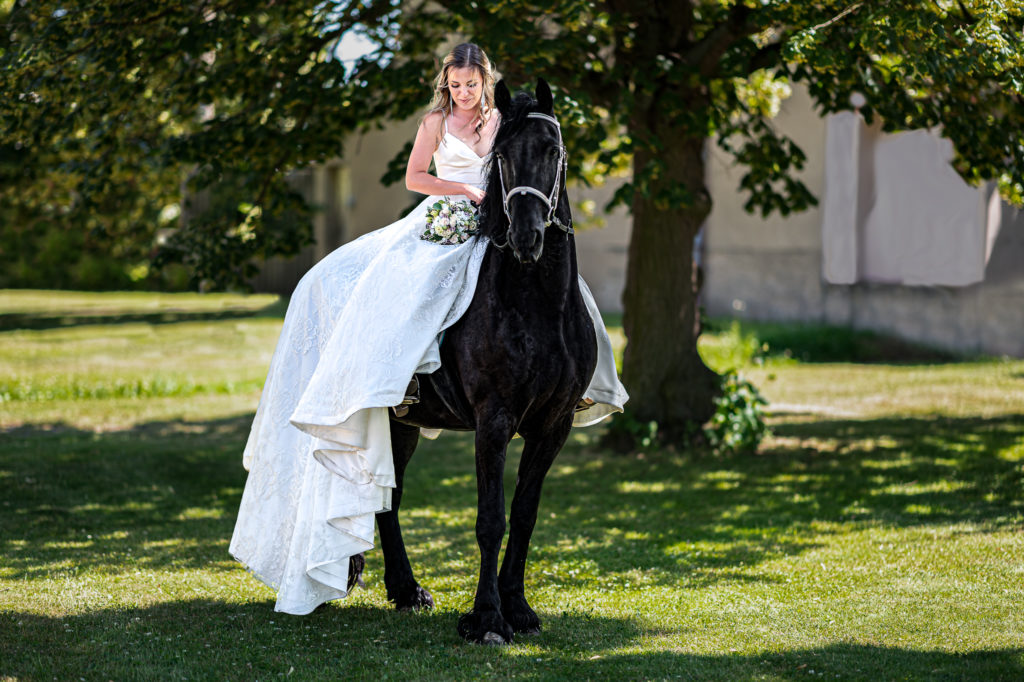 Nevěsta na černém koni - Bride on black horse